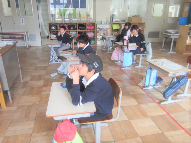 3176-2.jpg