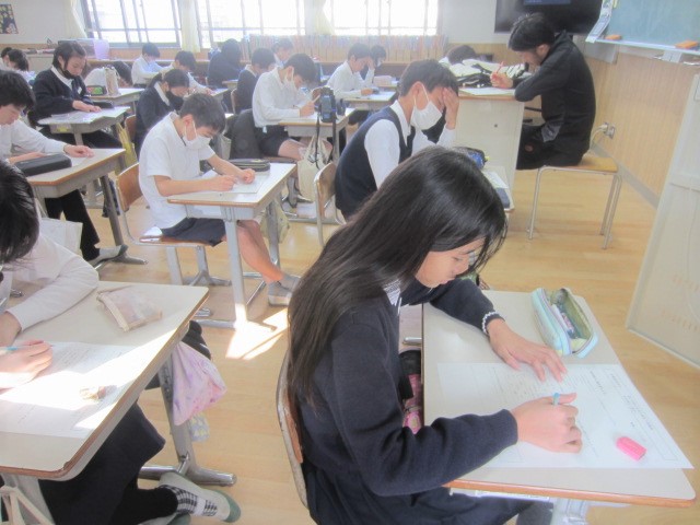 3183-1.jpg