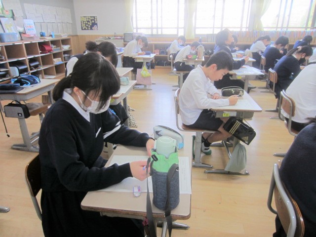 3183-2.jpg