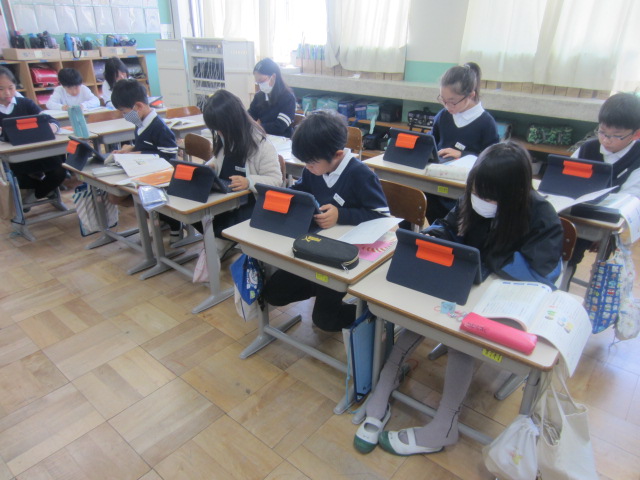 3206-2.jpg