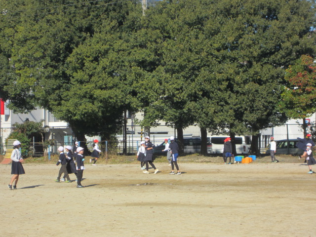 3250-2.jpg