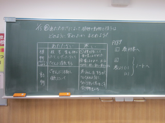 3410-2.jpg