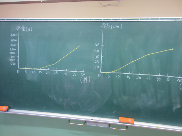 3448-3.jpg