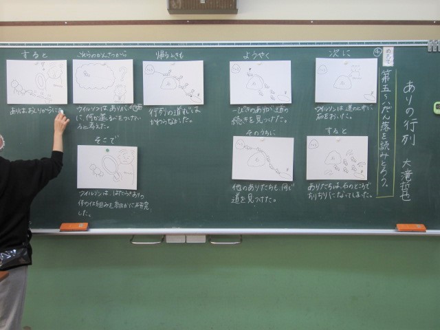 3491-2.jpg
