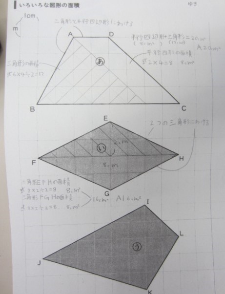 3541-3.jpg