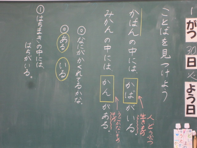 3568-2.jpg