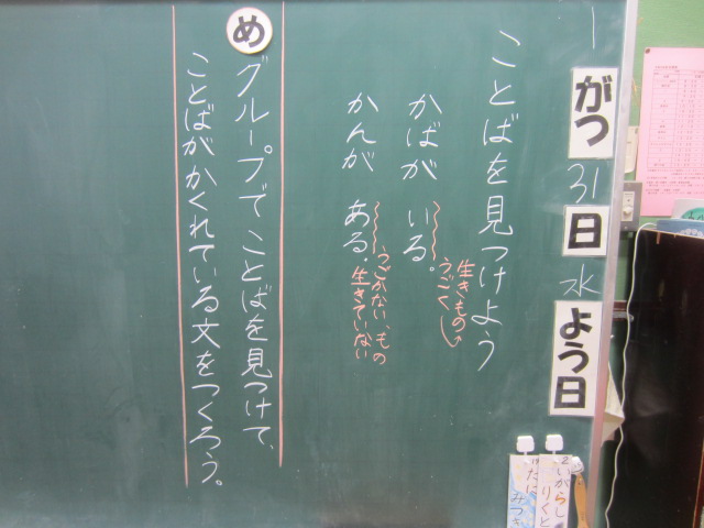 3581-3.jpg