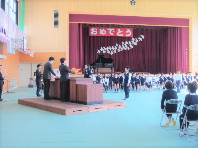 3984-2.jpg