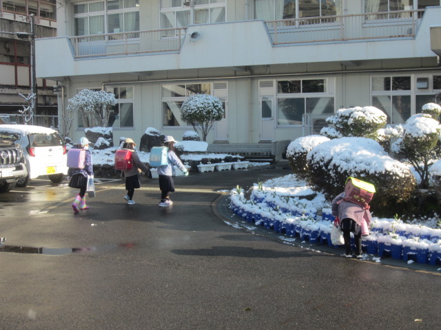 4045-1.jpg