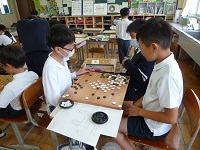 4419-1.jpg