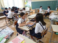 4419-2.jpg