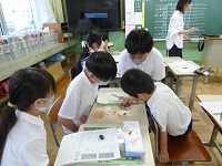 4427-1.jpg