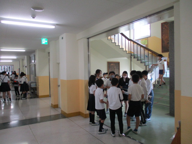 4432-1.jpg