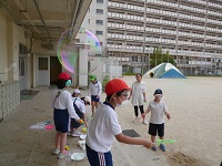 4486-2.jpg