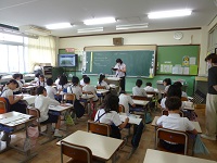 4491-1.jpg