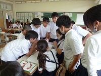 4493-3.jpg
