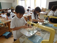 4616-2.jpg