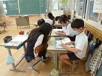 4617-2.jpg