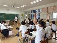 4617-3.jpg