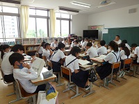 4619-1.jpg