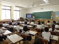 4628-2.jpg