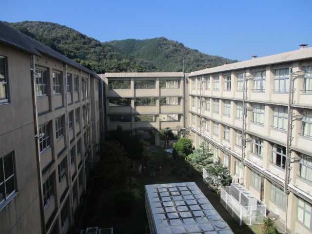 765-2.jpg