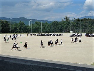 766-2.jpg