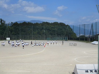 767-1.jpg