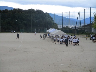 769-3.jpg