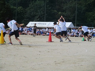 772-1.jpg