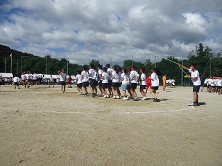 774-1.jpg