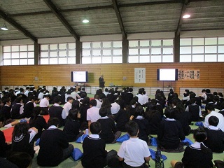 810-1.jpg