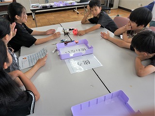 3386-3.jpg