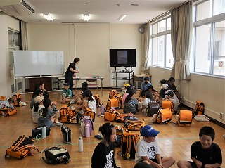 3389-2.jpg