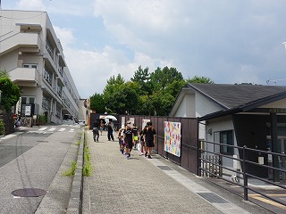 3390-1.jpg