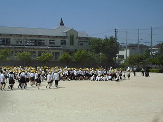 3924-3.jpg