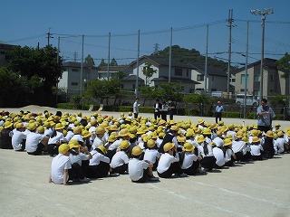 3925-1.jpg