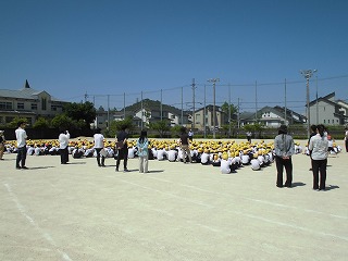 3925-2.jpg