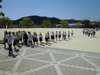 3925-3.jpg