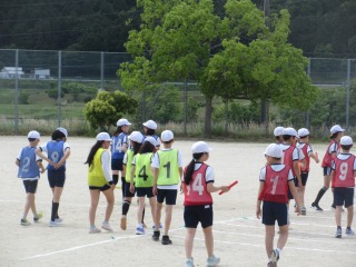 3956-2.jpg