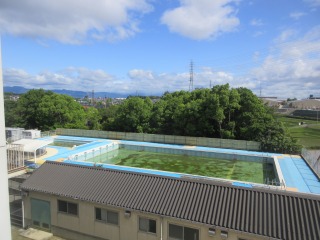 3957-1.jpg