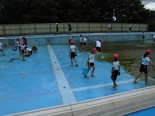 3960-3.jpg