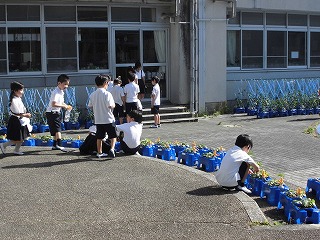 3961-1.jpg