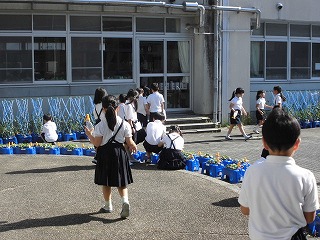 3961-2.jpg