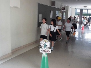 3962-2.jpg