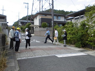 3963-1.jpg