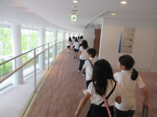 3968-2.jpg