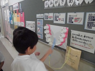 3970-3.jpg