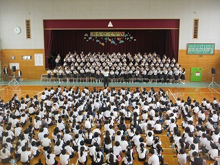 3980-3.jpg