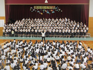 3981-1.jpg